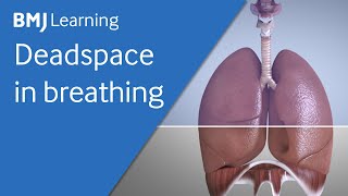 Basics of ventilation Deadspace in breathing [upl. by Dranyar271]