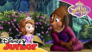 Sofia the First  Princess Charlotte  Official Disney Junior Africa [upl. by Tengdin]