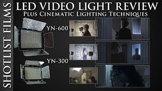 YN600 LED Video Lighting Review  Plus Lighting Techniques [upl. by Aitetel81]