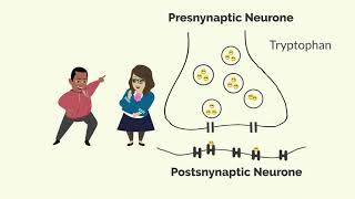 How Zoloft Sertraline Works [upl. by Seaman593]