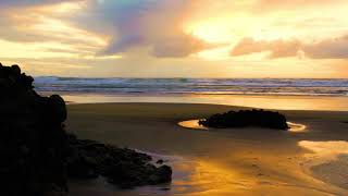 Piha Beach New zealand BRoll [upl. by Ennavoj]