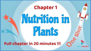 Class 7 Science Chapter 1 Nutrition in Plants  One Shot in 20 minutes  CBSE Class 7 [upl. by Leruj]