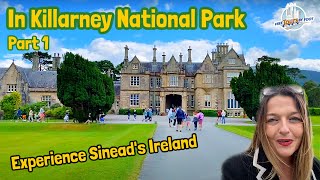 Killarney National Park Ireland Part 1  Muckross House and Torc Waterfall [upl. by Zigrang]