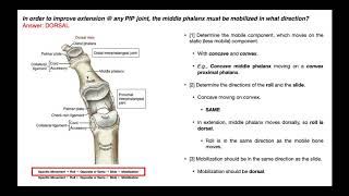 Interphalangeal Joint Mobilizations with ConvexConcave Rules [upl. by Demakis]