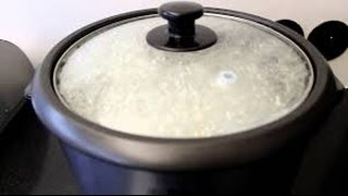 How To Make Rice Using The Black And Decker Rice Cooker [upl. by Dola986]