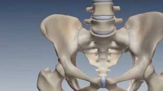 SI Joint Anatomy Biomechanics amp Prevalence [upl. by Snow]