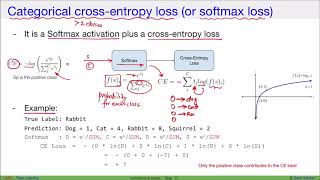 DL Categorial crossentropy loss softmax loss for multiclass classification [upl. by Pompea204]