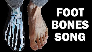 FOOT BONES SONG [upl. by Namsu]