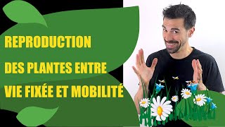 COURS DE TERMINALE SPÉCIALITÉ SVT CHAP10 REPRODUCTION DE LA PLANTE ENTRE VIE FIXÉE ET MOBILITÉ [upl. by Nivert]