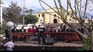 Marimba Maderas Chapinas  Concierto Color y Folklore Guatemalteco Vol 1 [upl. by Llehcram677]