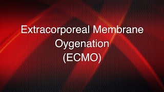 Extracorporeal Membrane Oxygenation Therapy ECMO Training Extracorporeal Life Support [upl. by Burdett]