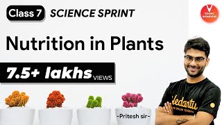 Nutrition in Plants  Class 7 Science Sprint  Chapter 1 VedantuJunior [upl. by Halden]