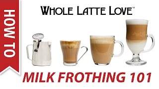 Milk Frothing for Beginners [upl. by Itnahs222]