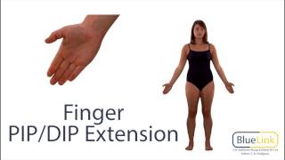 Proximal and Distal Interphalangeal Joints Flexion and Extension [upl. by Ahsercul990]