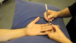 Interphalangeal Joint Palmar aspect Hand Palpation [upl. by Queston]