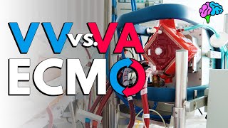 What is ECMO [upl. by Bannasch]