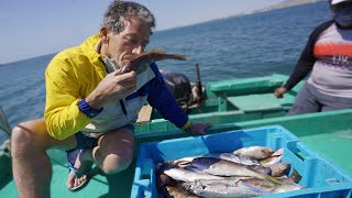 Pescando CABRILLAS y cocinando en ALTAMAR [upl. by Aramahs154]