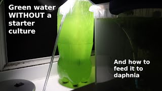 Green Water WITHOUT a Starter Culture  From Scratch  How To [upl. by Lirrehs]