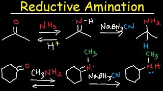 Reductive Amination of Ketones amp Aldehydes With NaBH3CN [upl. by Ecinev]