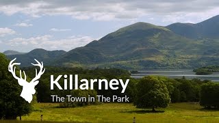 Visit Killarney  Official Destination Video [upl. by Htur]