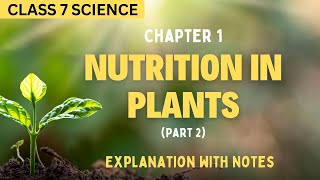 Nutrition in Plants Notes Part 2  Class7 Science Chapter 1 NCERT [upl. by Anees]