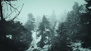 Snowstorm Blizzard Wind Sounds For Sleeping Relaxing  Calm Snow Arctic Howling Winter Ambience [upl. by Tedda669]