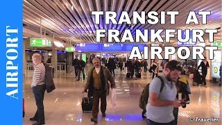 TRANSIT WALK AT FRANKFURT Airport FRA Terminal 1  Connection Flight Transfer Arriving amp Departing [upl. by Ilka425]